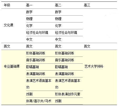 藝術(shù)(表演)特色課程