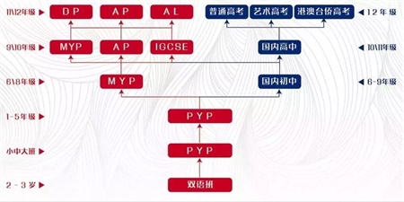 碧桂園學(xué)校課程設(shè)置