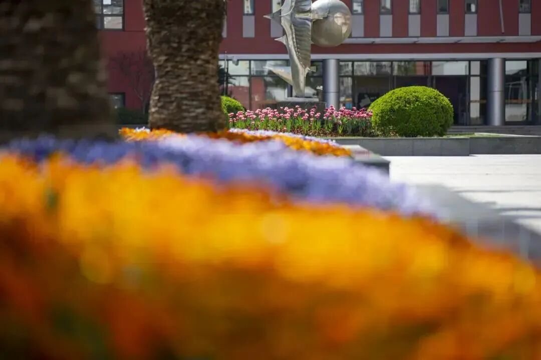 上海市世外中學(xué)